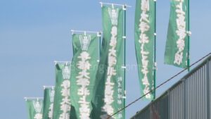 【高校軟式野球選手権】専大北上、奮戦　惜しくもベスト8に届かず　岩手 - 高校野球